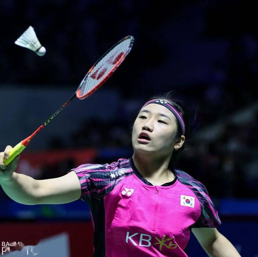 日本队逆转印尼队，马琳关键制胜