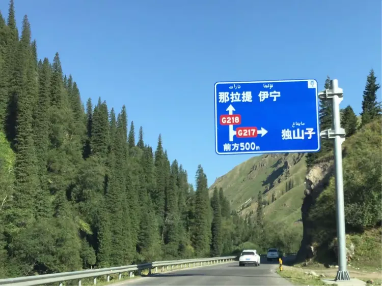 新疆队一路奋战，实现胜利保卫