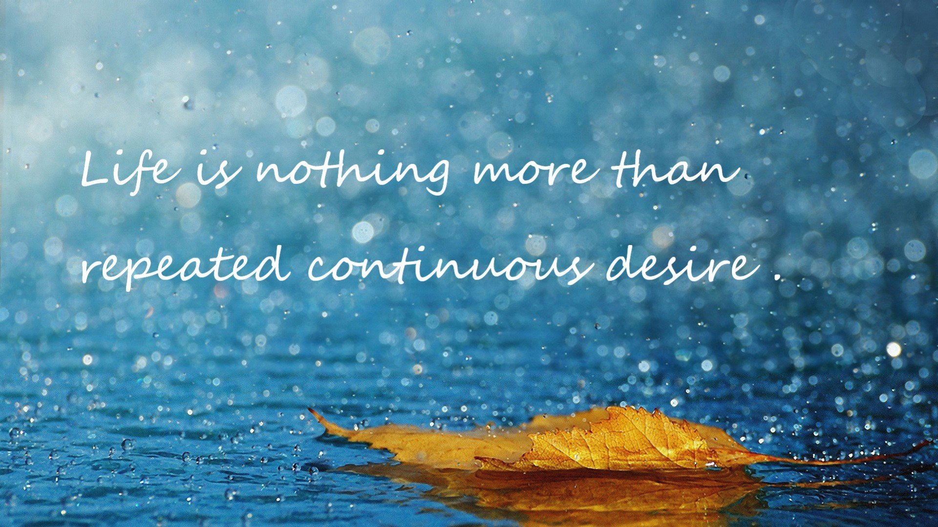 友谊赛神话与个人星光，当中国红轻取拜仁，拉什福德照亮另一种可能