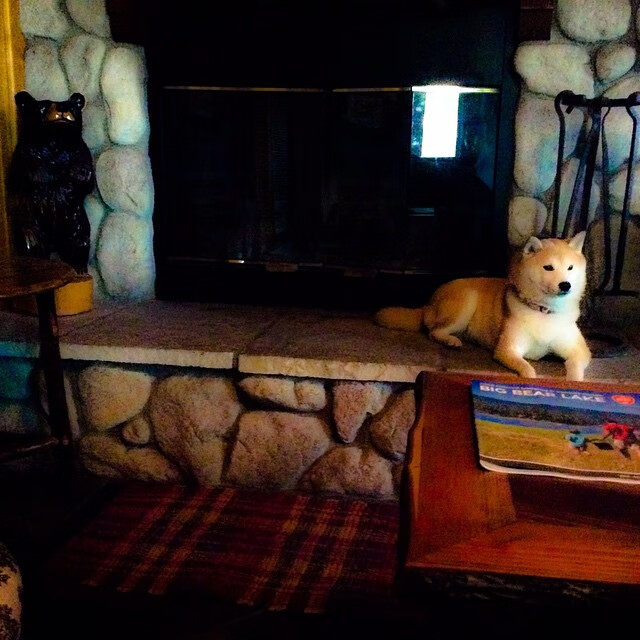 红土救赎,从法网滑铁卢到戴维斯杯逆转王,梅德韦杰夫如何完成心灵淬火?