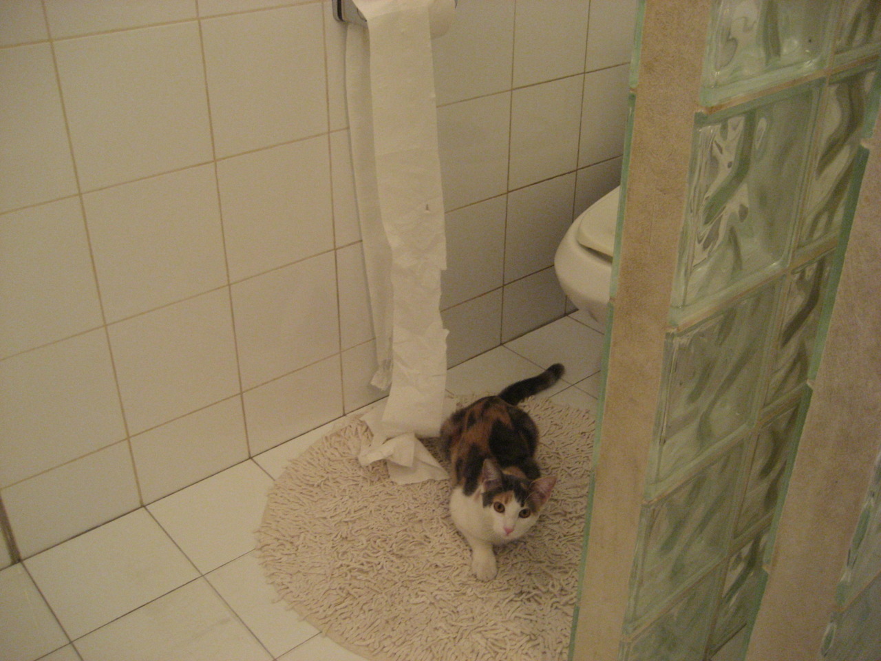 最后一舞，当阿克的射门让比赛提前结束