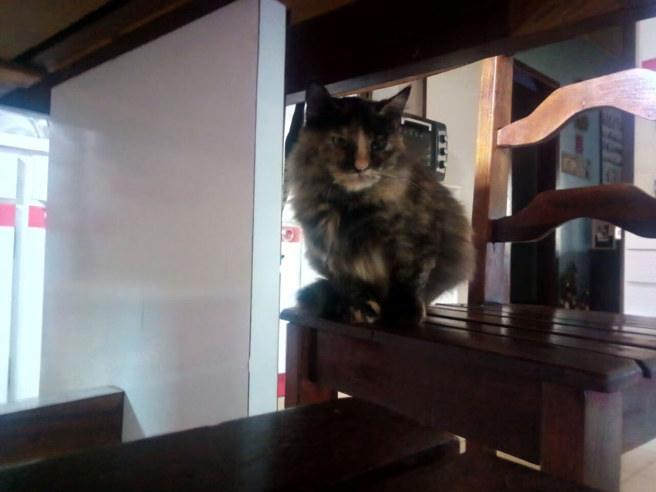 从日耳曼战车到非洲雄鹰，穆勒一射定乾坤，尼日利亚战术革命启示录