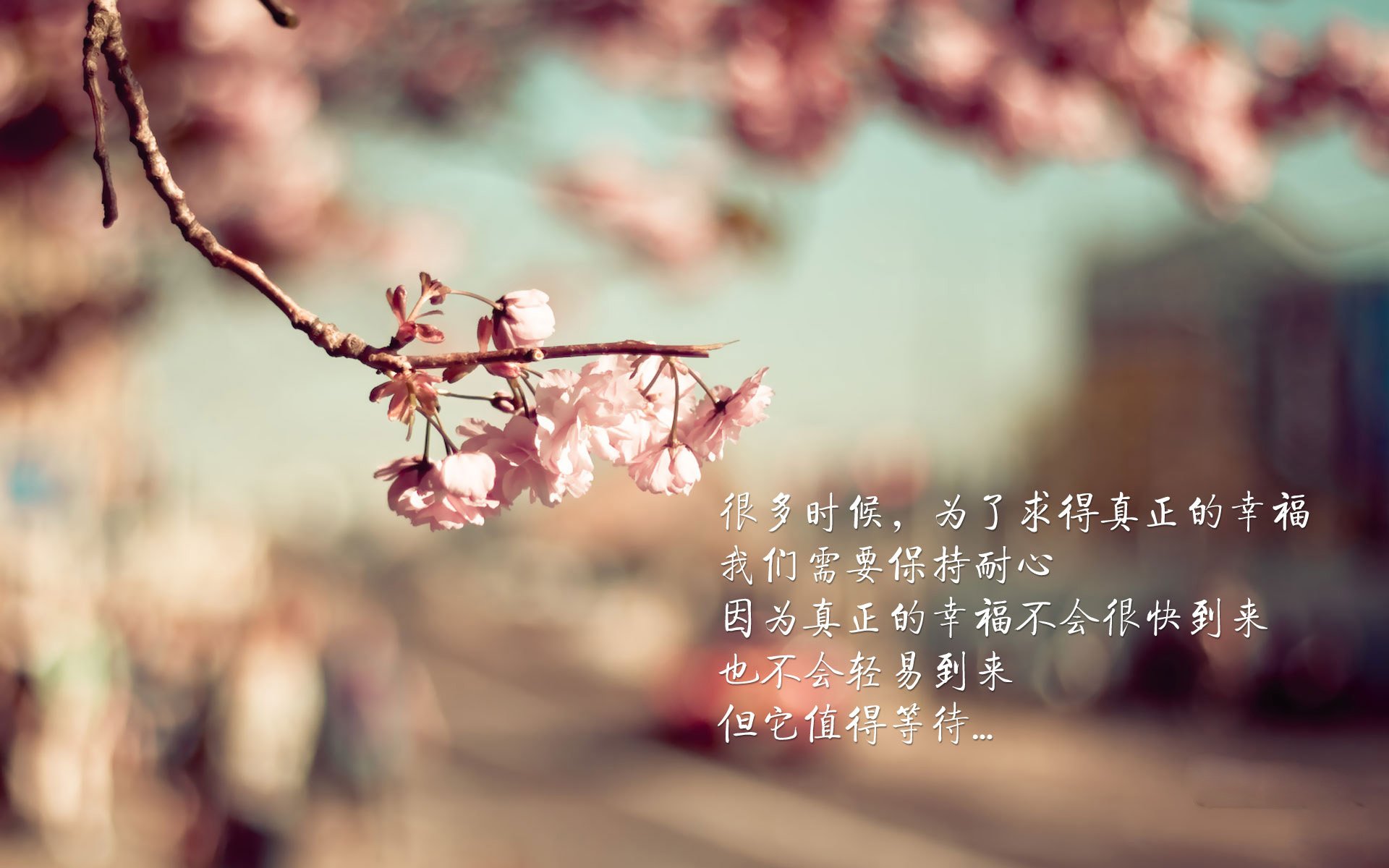 已续约！蒂亚戈展现攻防两端终极形态，率领波兰关键战攻克塞维利亚堡垒