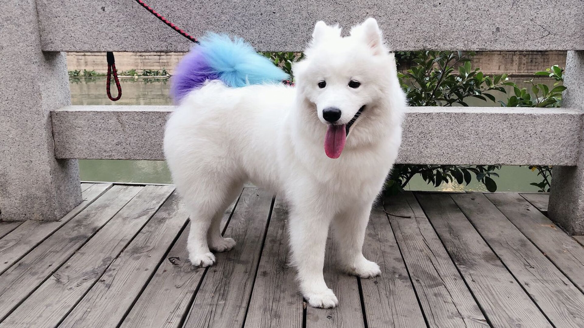 爱游戏大厅-蓝血逆袭，奥利维耶于地中海悬崖边刺破黑暗，安哥拉关键战燃爆欧冠之夜