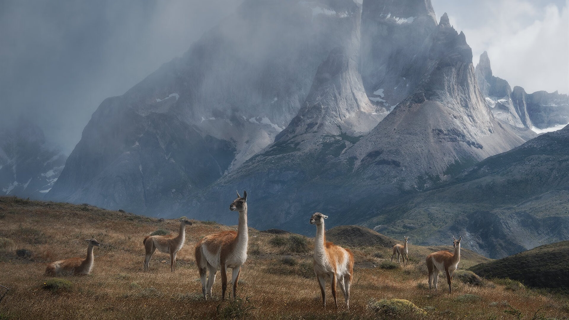 爱游戏APP-爆冷之夜！爱德华兹狂轰50分统治赛场，步行者队跨洋击败辽宁