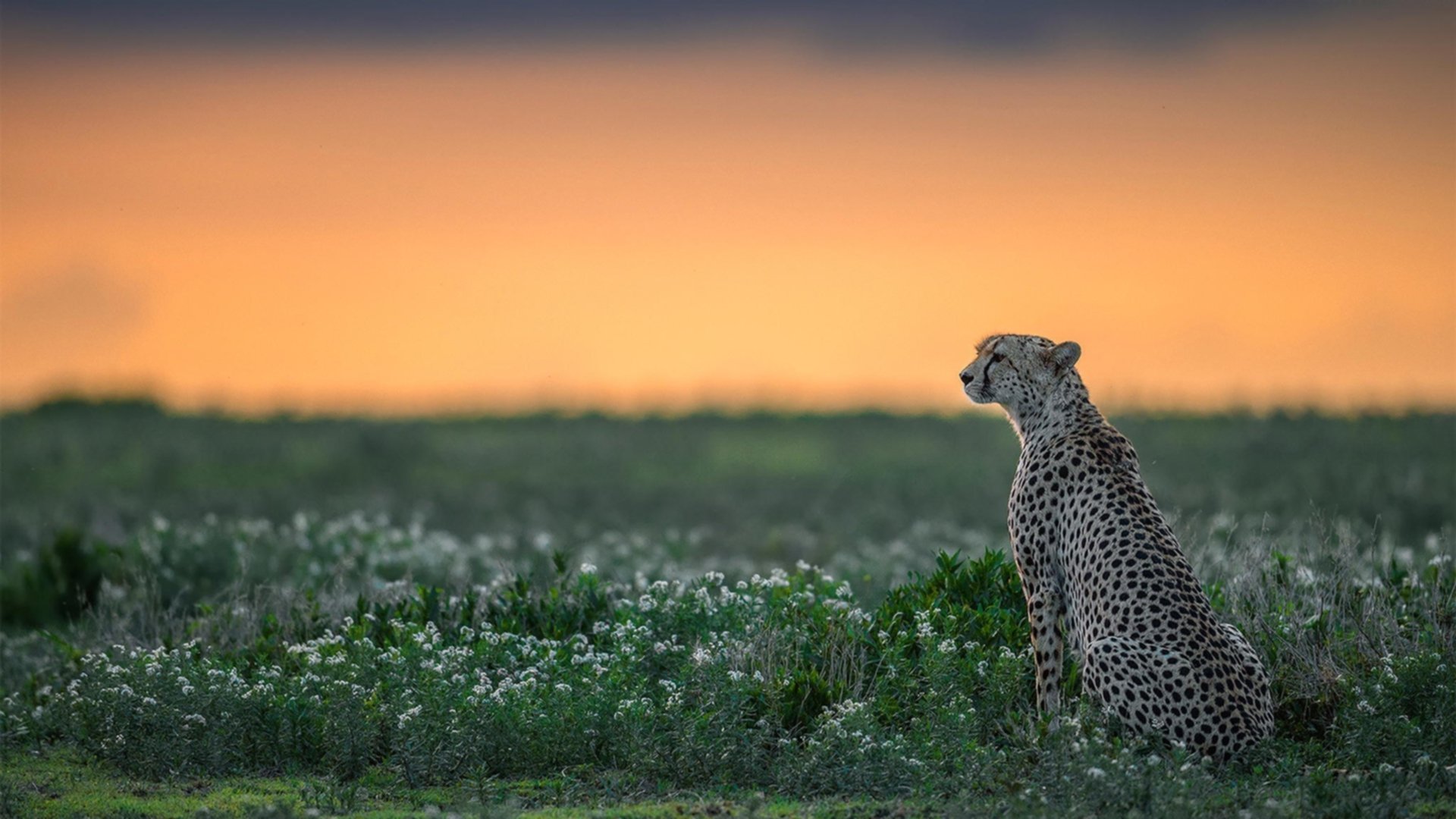 铁蹄踏破南粤阵，冰封三尺锁蛟龙