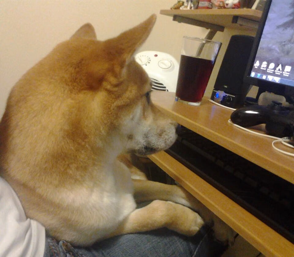 狼群觉醒,贝恩的脉搏,森林狼的胜利交响乐