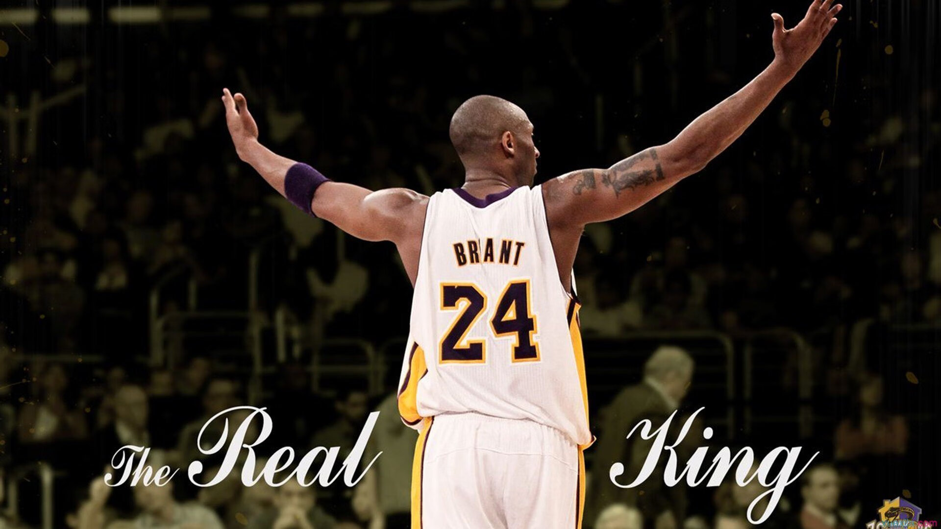 狼群觉醒,贝恩的脉搏,森林狼的胜利交响乐