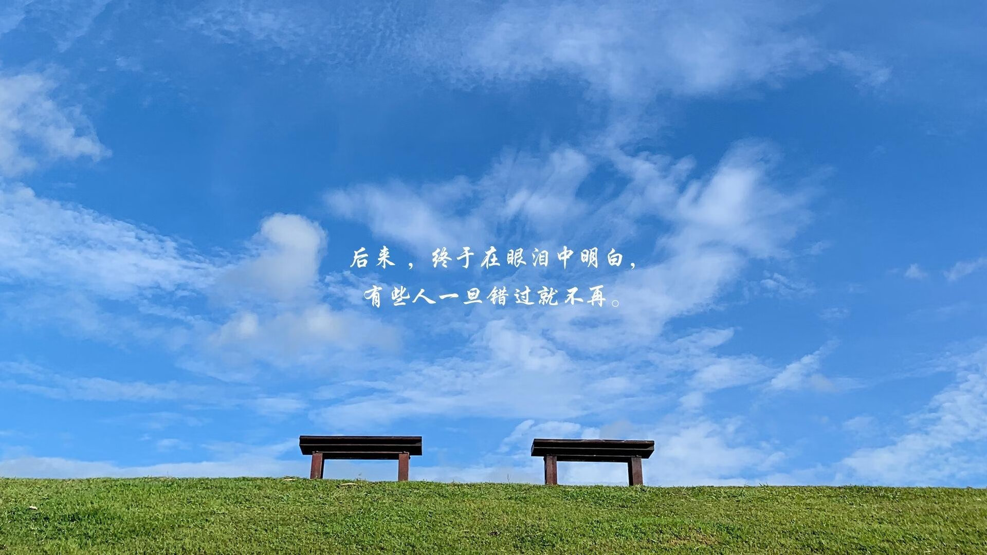 爱游戏-库里天神下凡难救主，黄蜂用绝对篮球诠释团队力量