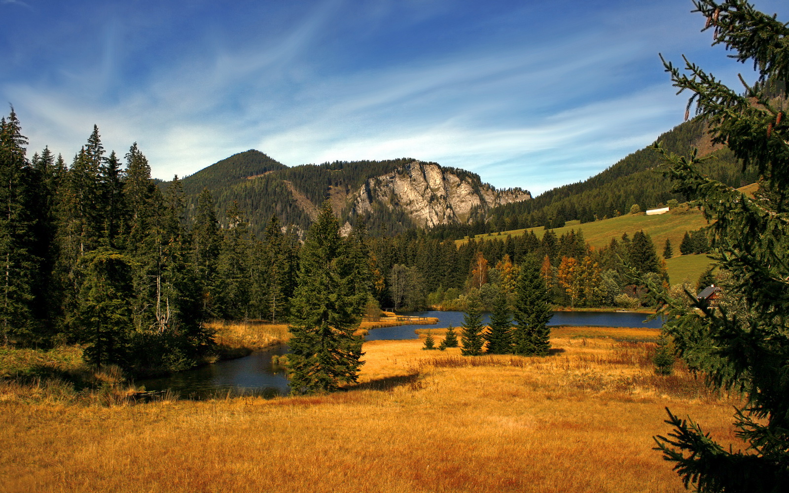 从坎特到巴萨，硬仗之王的基因，如何在委内瑞拉之夜显形？