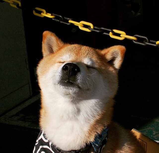 法比尼奥的王者时刻，曼城翻盘里昂背后的世界排名争夺战