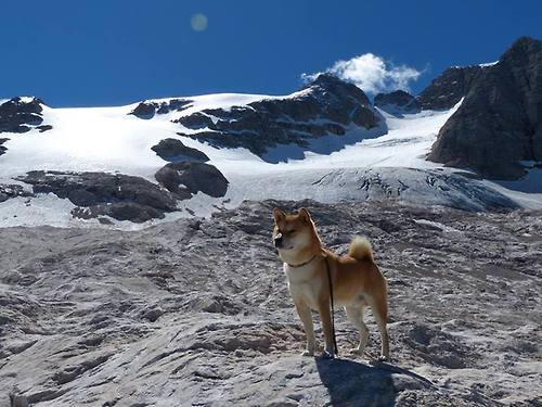 爱游戏APP-当鹈鹕翱翔于硬仗之巅，从底特律到柏林，篮球意志的全球共鸣