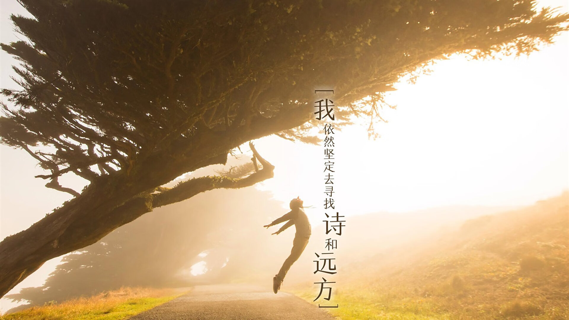 双生引擎,当赛车啸叫遇见足球跃动—维斯塔潘与三笘薰的压力共舞