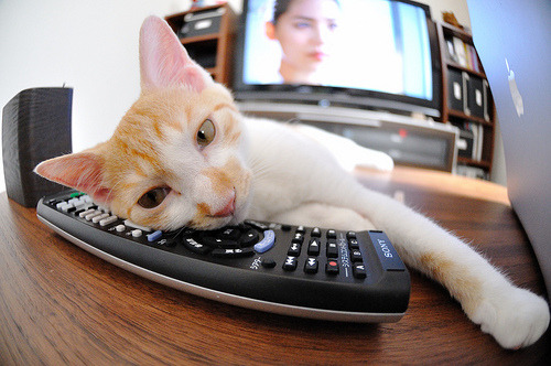 教科书级中锋表演！奥斯梅恩导演黑马奇迹，几内亚正面击溃世界杯豪门